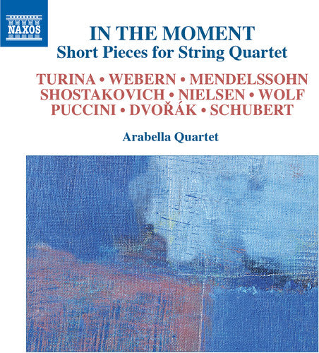 the album cover for Schubert / Dvorak / Shostakovich - In the Moment Short Pieces for String Quartet