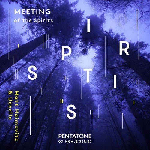 the album cover for MATT HAIMOVITZ - Meeting of the Spirits