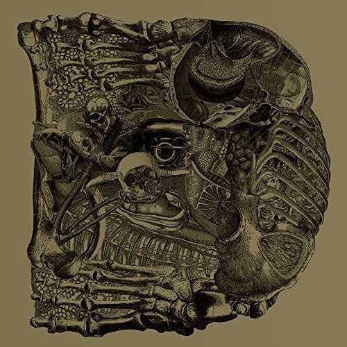 the album cover for Boris - Dear