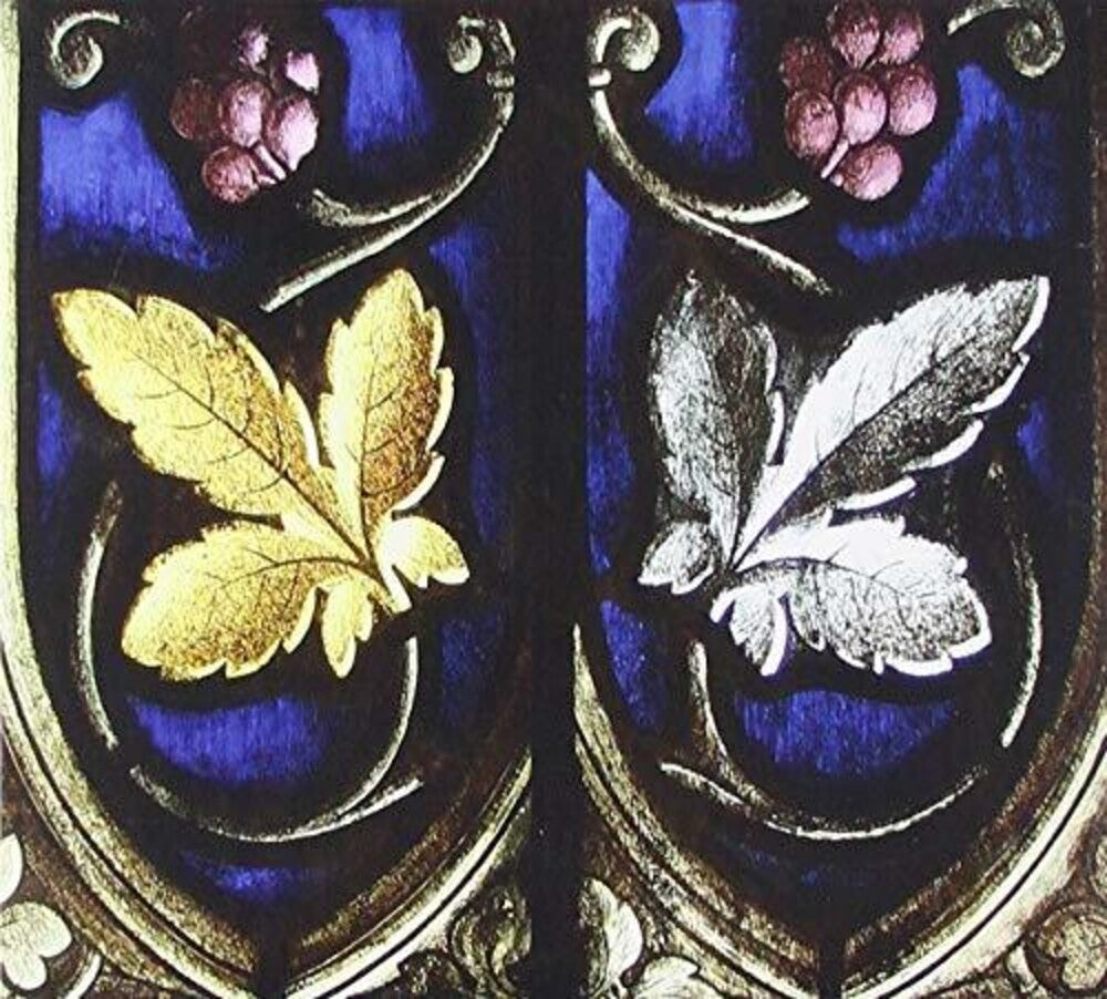 the album cover for Ian Boddy - Altair