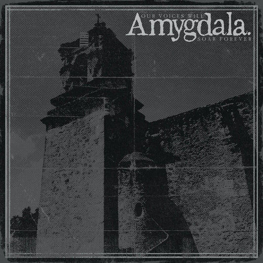 the album cover for Amygdala - Our Voices Will Soar Forever