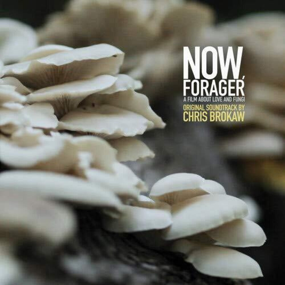 the album cover for Chris Brokaw - Now Forager (Original Soundtrack)