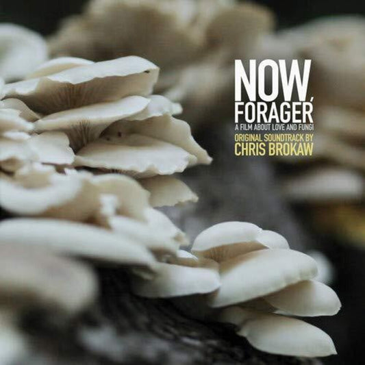 the album cover for Chris Brokaw - Now Forager (Original Soundtrack)