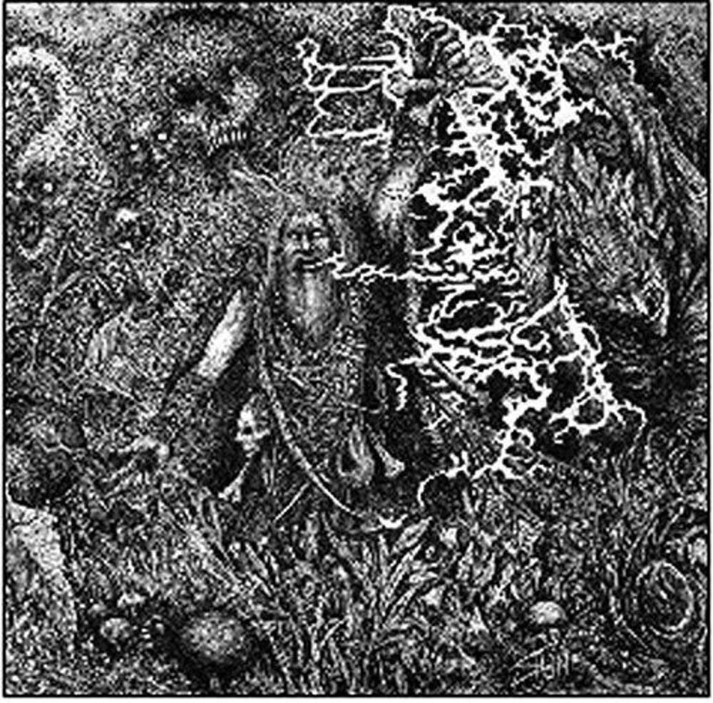 the album cover for Werian - Animist