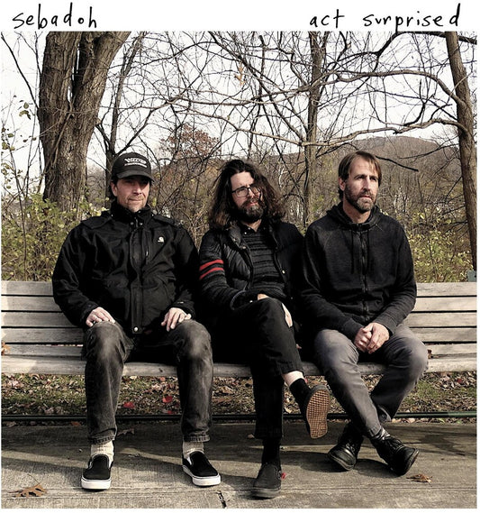 the album cover for Sebadoh - Act Surprised [LP]