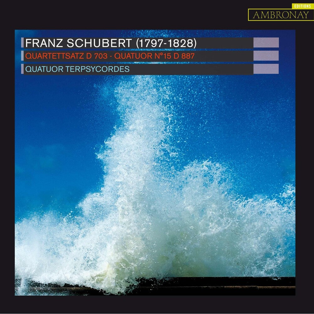 the album cover for Quatuor Terpsycordes - Quartettsatz