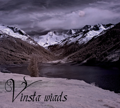 the album cover for Vinsta - Wiads [Digipak]