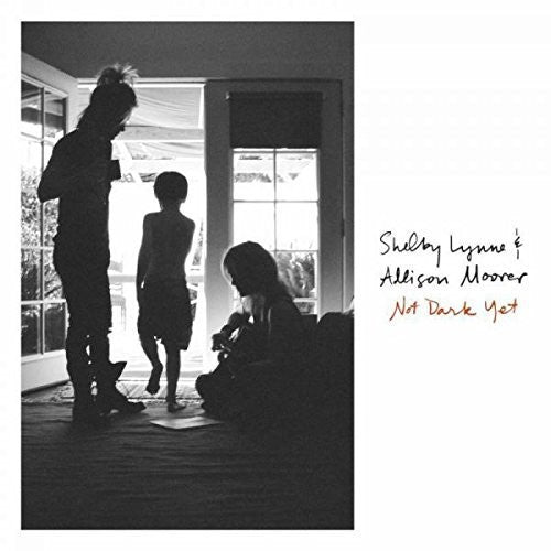 the album cover for Shelby Lynne - Not Dark Yet [LP]
