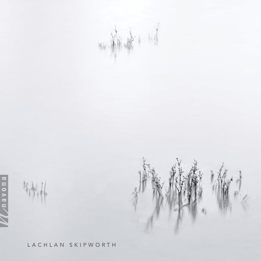 the album cover for Skipworth - Clarinet Quintet / Piano Trio