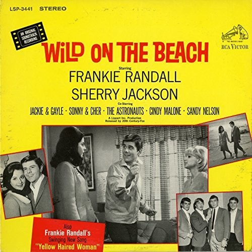 the album cover for Wild on the Beach / O.S.T. - Wild On the Beach (Original Soundtrack)