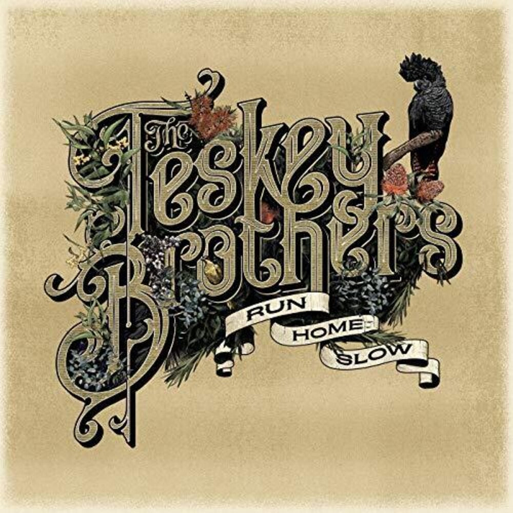 the album cover for The Teskey Brothers - Run Home Slow [Import]