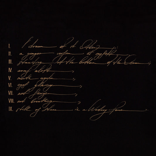 the album cover for Telefon Tel Aviv - Dreams Are Not Enough