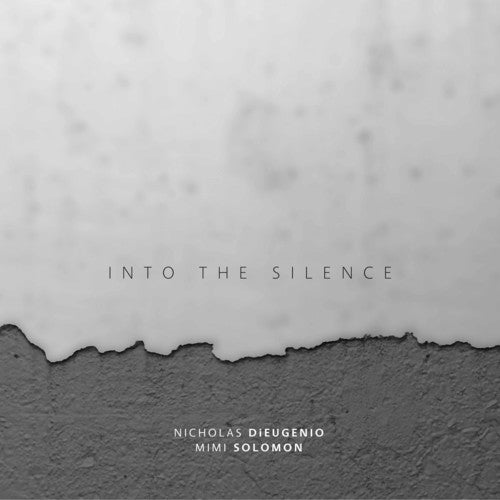 the album cover for Jones / Dieugenio / Solomon - Into the Silence