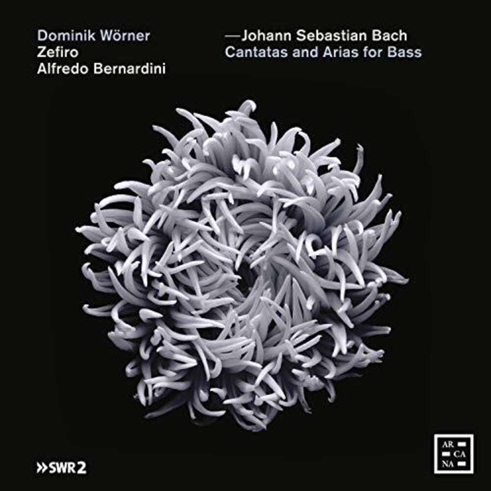 the album cover for J Bach S / Bernardini / Worner - Cantatas & Arias for Bass