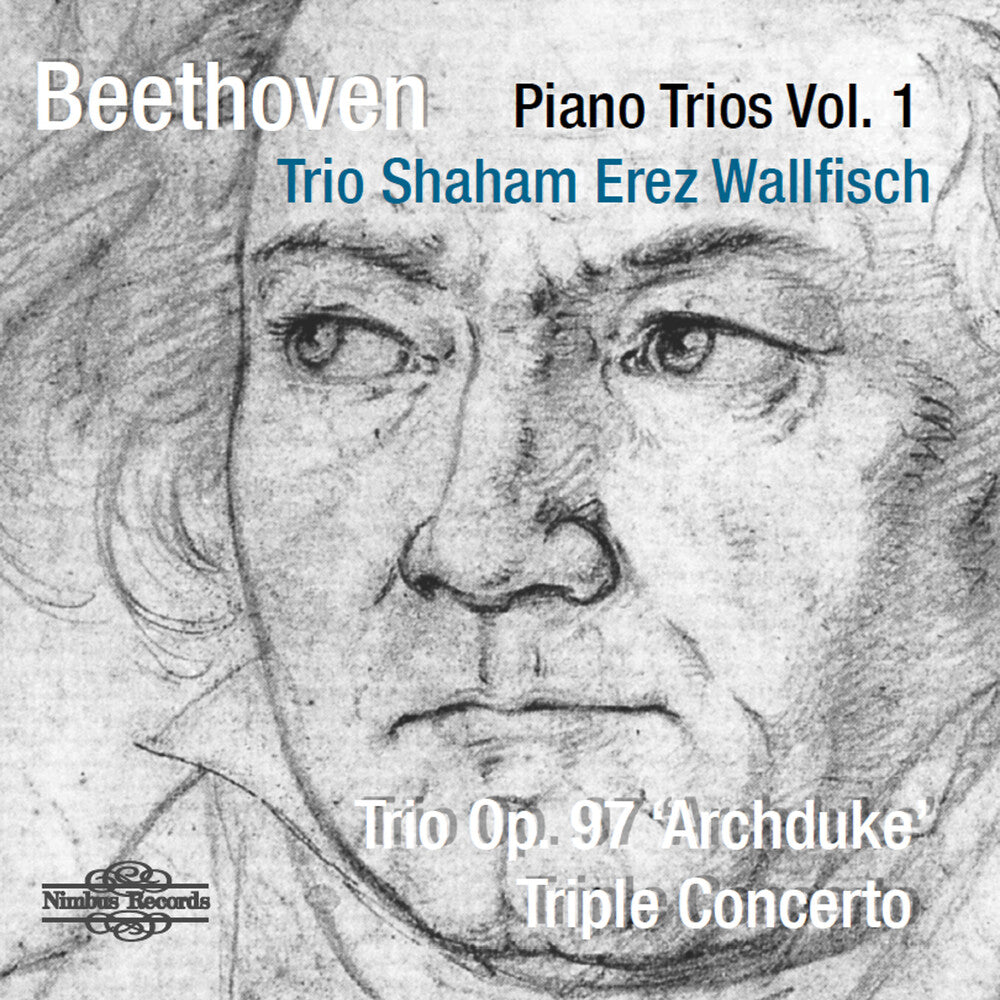 the album cover for Beethoven / Trio Shahm Erez Wallfisch - Piano Trio 1