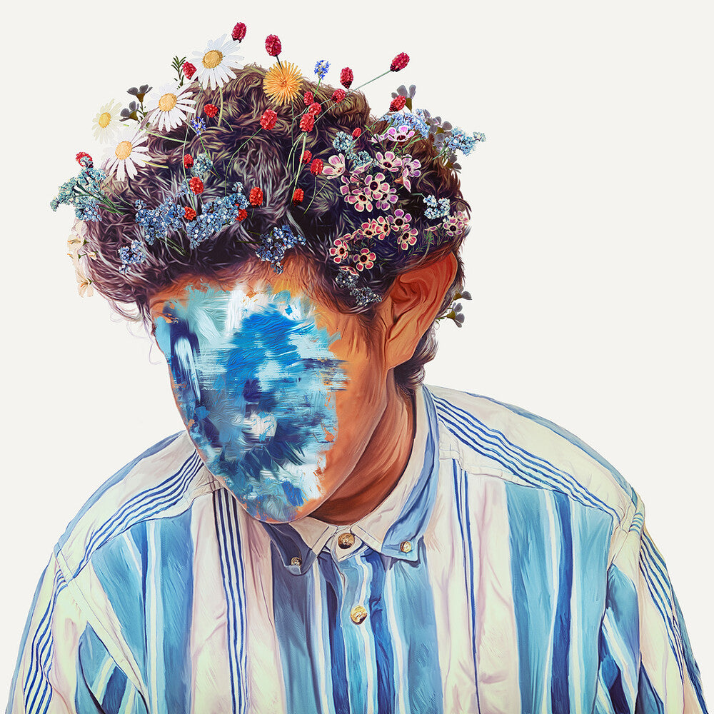 Hobo Johnson - The Fall of Hobo Johnson [LP]