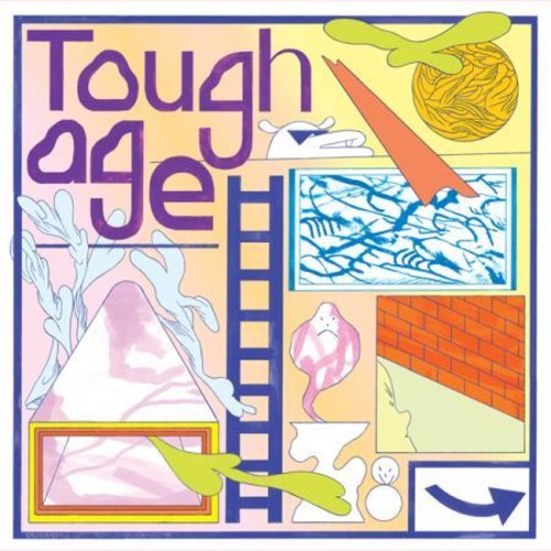 the album cover for Tough Age - Shame
