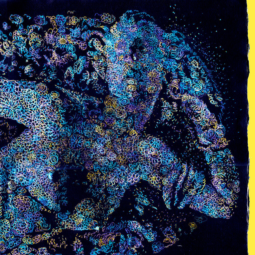 the album cover for Francois Atlas - Les Fleurs du Mal