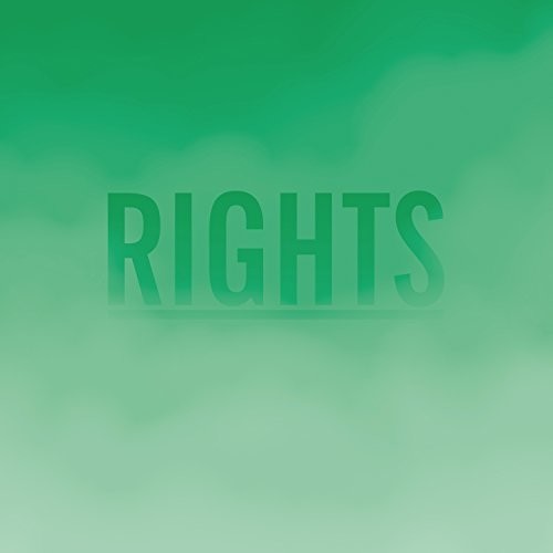 the album cover for Schnellertollermeier - Rights