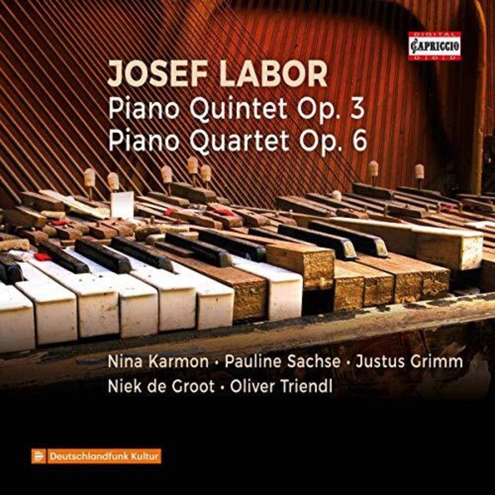 the album cover for Labor / Karmon / Triendl - Piano Quintet 3