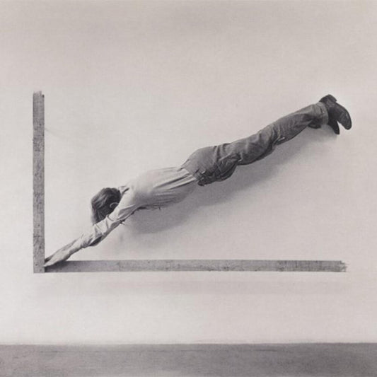 Shepherds - Insignificant Whip [Indie Exclusive]