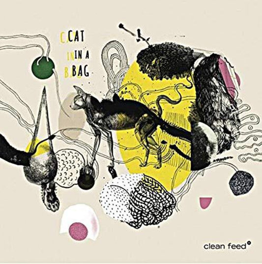 the album cover for Cat In A Bag - Cat In A Bag