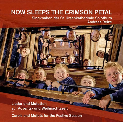 the album cover for Antognini - Now Sleeps the Crimson Petal