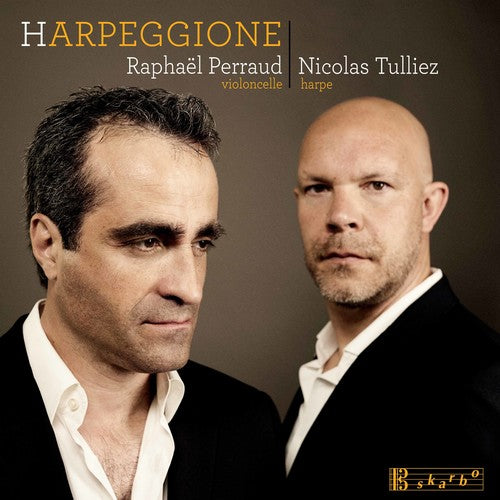 the album cover for Bloch / Tulliez / Perraud - Harpeggione