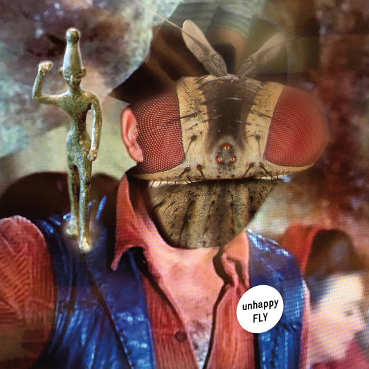 the album cover for Unhappy Fly - Unhappy Fly