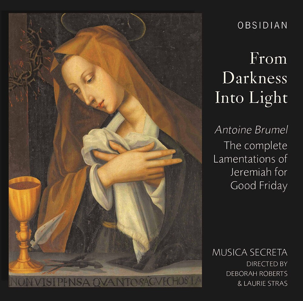 the album cover for Brumel / Musica Secreta / Stras - From Darkness Into Light