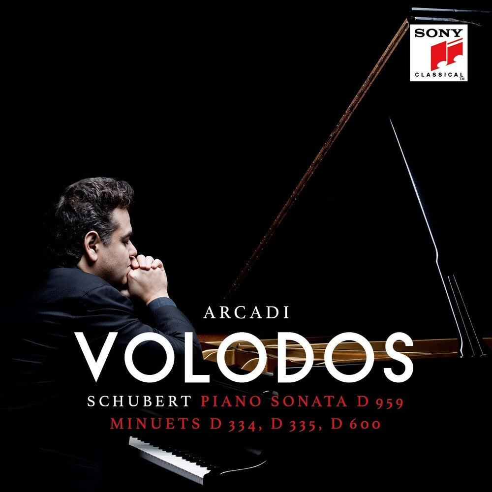 the album cover for Schubert / Arcadi Volodos - Piano Sonata D 959