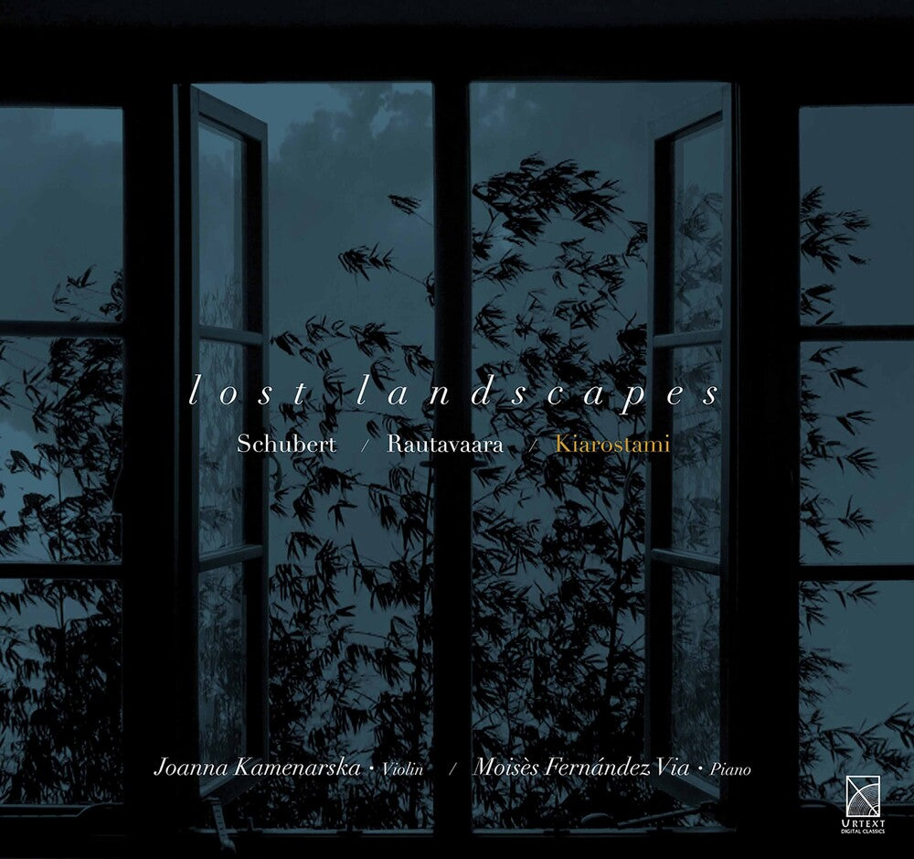 the album cover for Schubert / Kamenarska - Lost Landscapes