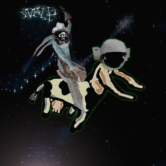 the album cover for Matt Valentine - Preserves [Download Included]