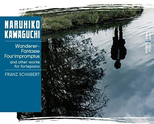 the album cover for Naruhiko Kawaguchi - Wanderer Fantasie