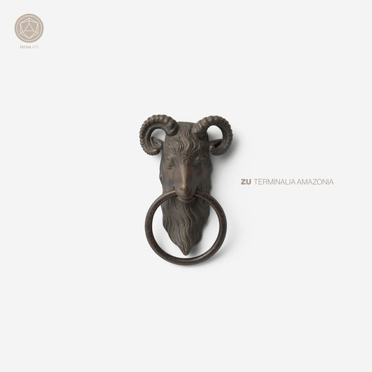 the album cover for Zu - Terminalia Amazonia