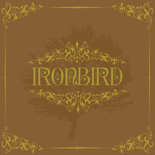 the album cover for Ironbird - Ironbird