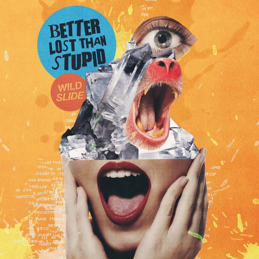 the album cover for Better Lost Than Stupid - Wild Slide
