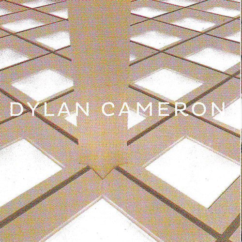 the album cover for Dylan Cameron - Infinite Floor