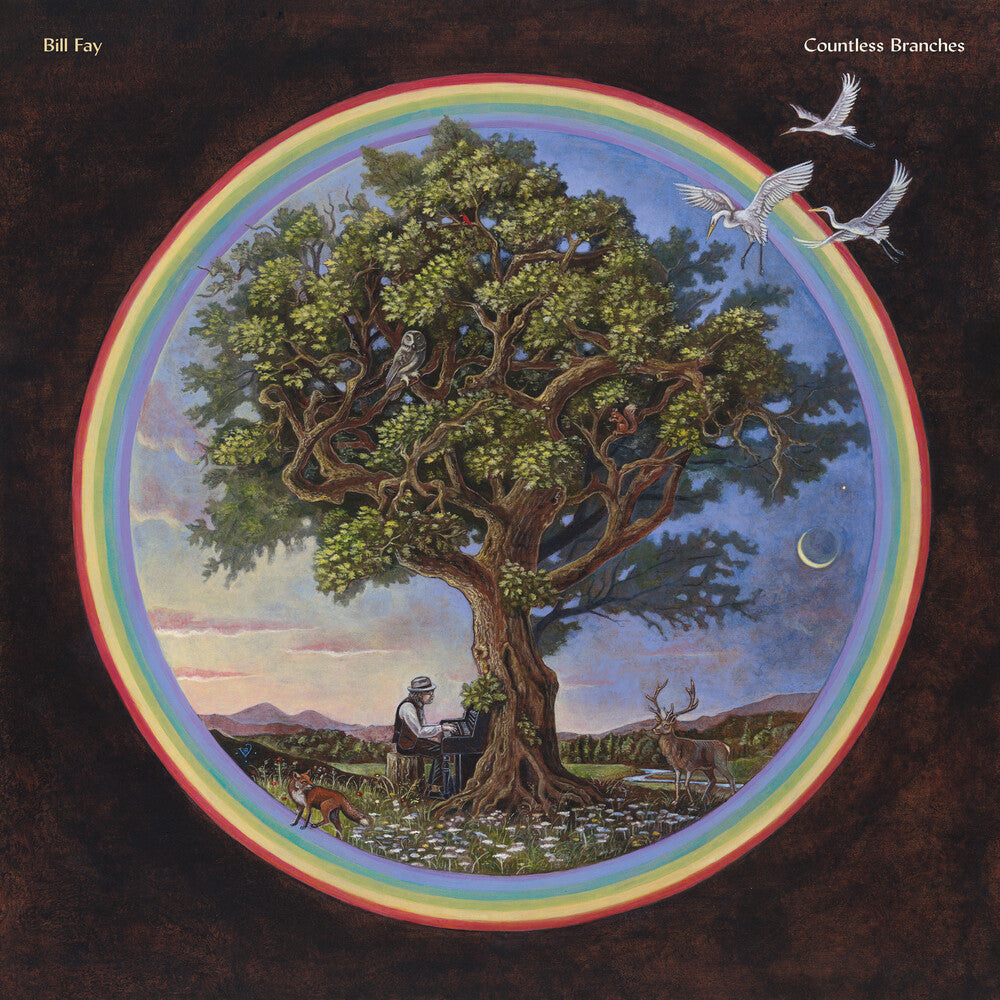 Bill Fay - Countless Branches [Deluxe 2LP]