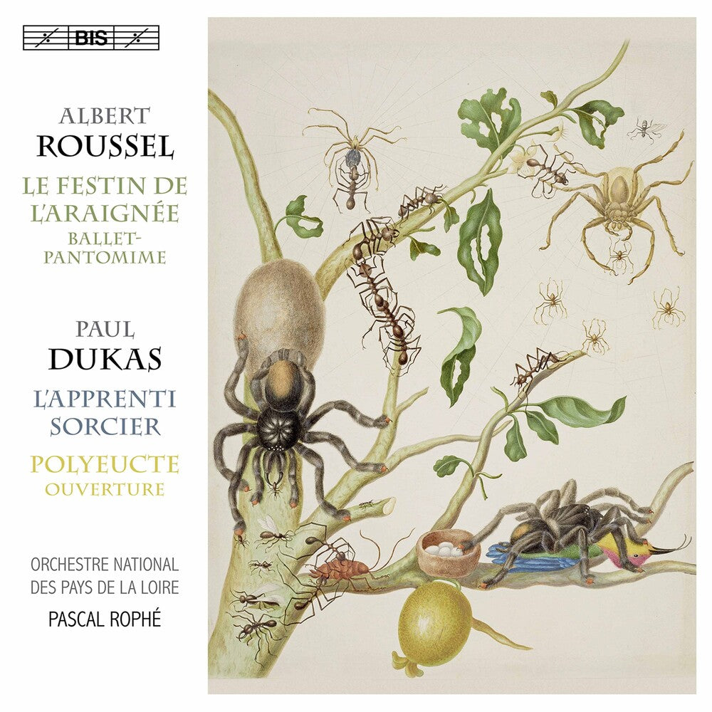 the album cover for Dukas / Orchestre National Des Pays De La Loire - Festin de L'araignee