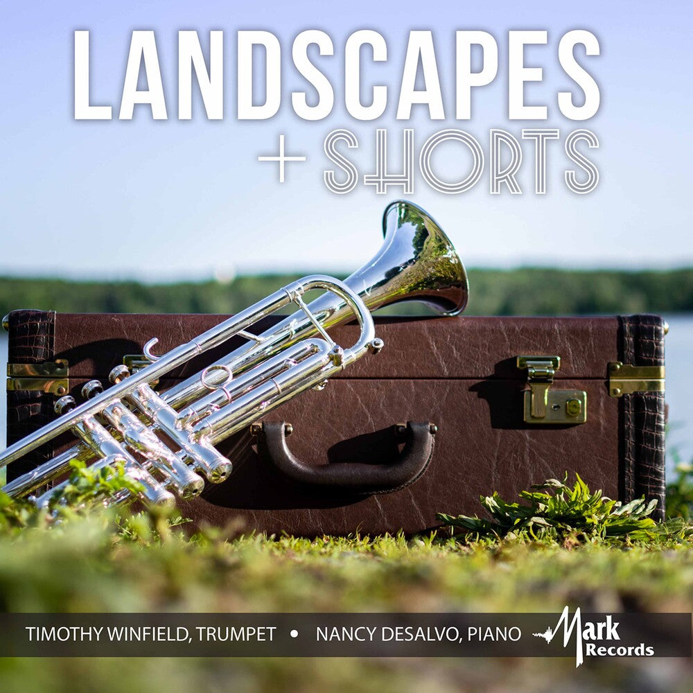 the album cover for Hartley / Winfield / Desalvo - Landscapes & Shorts
