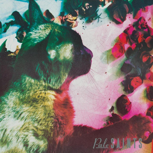 Pale Saints - The Comforts of Madness: 30th Anniversary Reissue [LP]