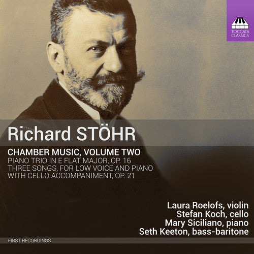 the album cover for Laura Roelofs - Chamber Music Volume Two