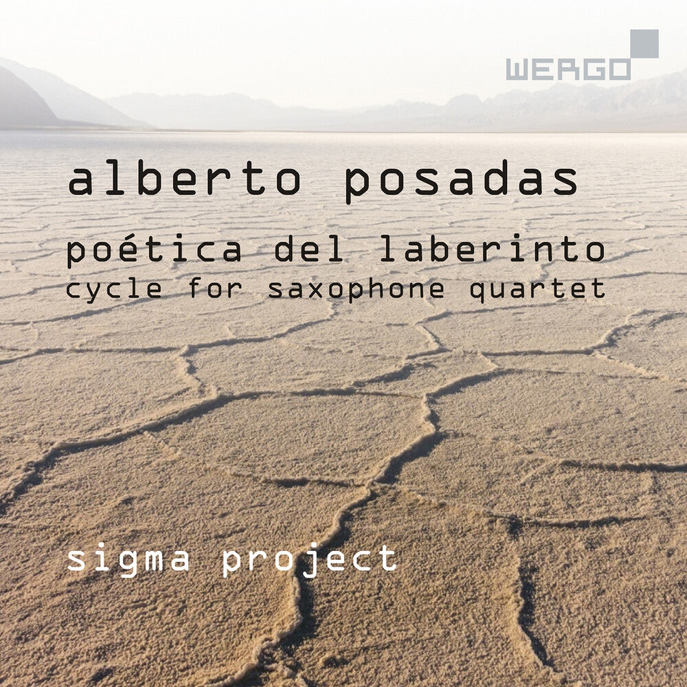the album cover for Posadas / Sigma Project - Poetica Del Laberinto