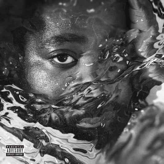 the album cover for R.Lum.R - Surfacing [LP]