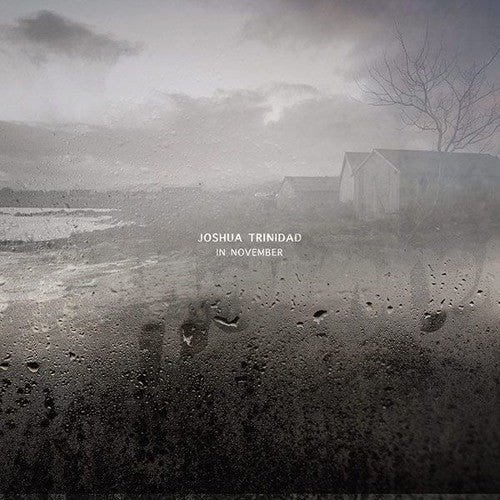 the album cover for Joshua Trinidad - In November [180 Gram]