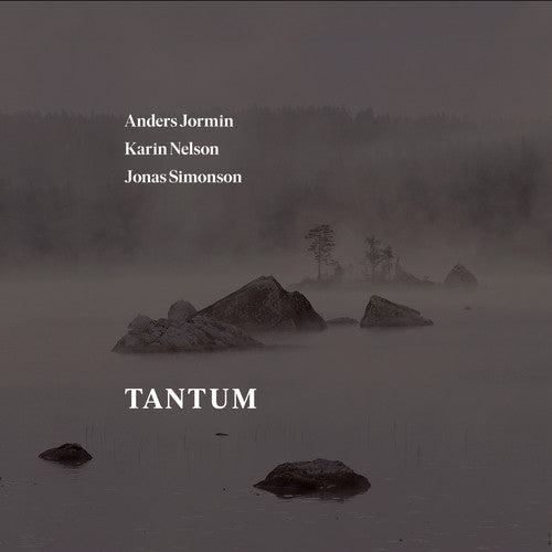 the album cover for J Bach S / Jormin / Simonson - Tantum