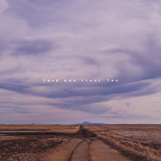 the album cover for 100 Mile House - Love And Leave You