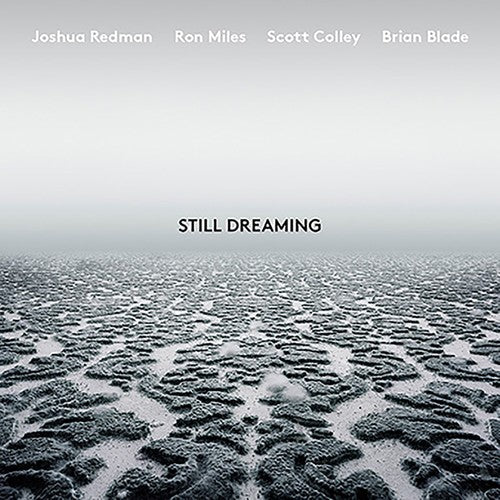 the album cover for Joshua Redman - Still Dreaming [LP]