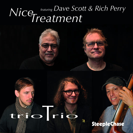 the album cover for Triotrio - Nice Treatment